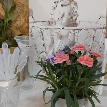 Le Laboratoire Shabby Chic De La Parfumerie Du Manoir Chavagne エクステリア 写真