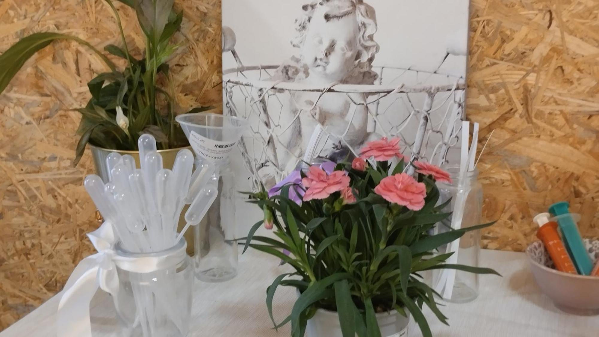 Le Laboratoire Shabby Chic De La Parfumerie Du Manoir Chavagne エクステリア 写真